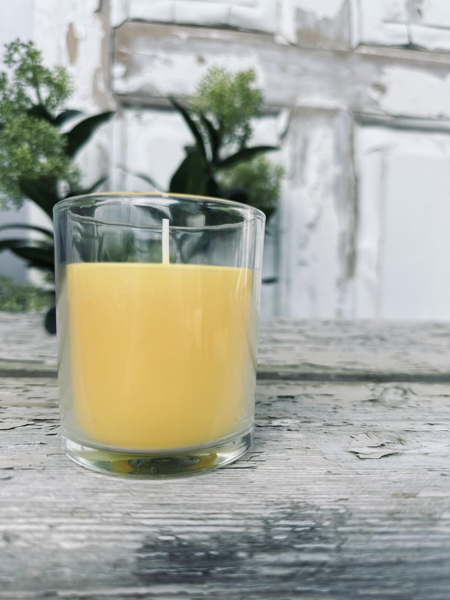 Citronella i glas - VIAMAJA.DK