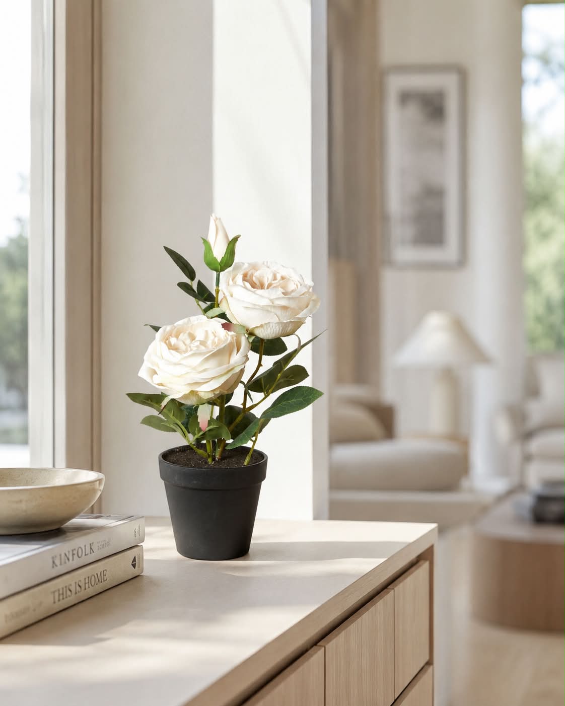 Rose i potte - Hvit