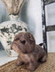 Dørstopper Bulldog - VIAMAJA.DK