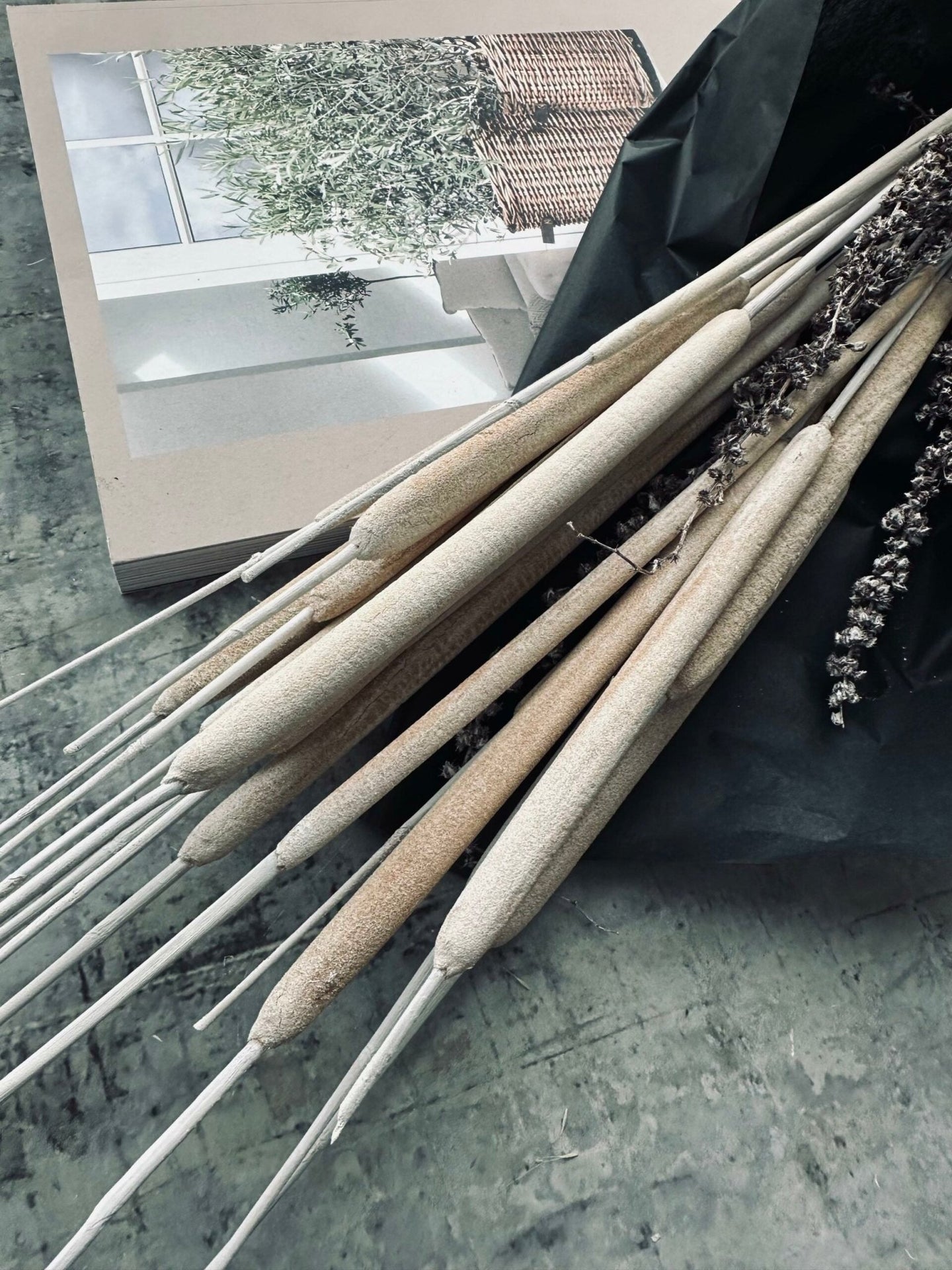 Dunhammer slim lys natur - VIAMAJA.DK