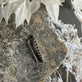 Earclimber Laura Venstre - Sterling Silver - VIAMAJA.DK