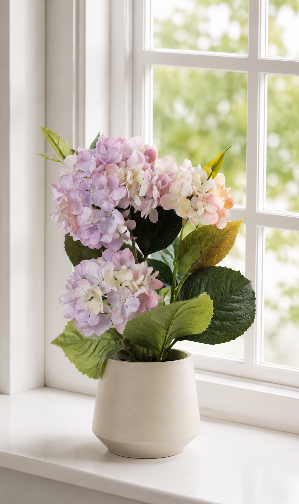 Hortensia i potte - Syrin