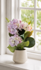 Hortensia i potte - Syrin