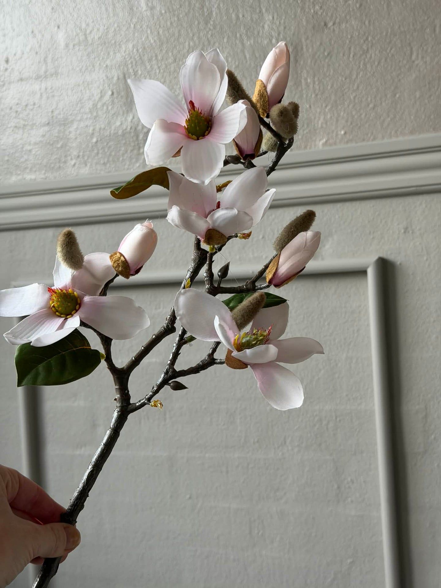 Magnoliagren - Rosa 52 cm