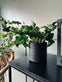 Efue – 55 cm - VIAMAJA.DK