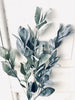 Eukalyptus stilk - 58 cm