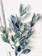 Eukalyptus stilk - 58 cm - VIAMAJA.DK