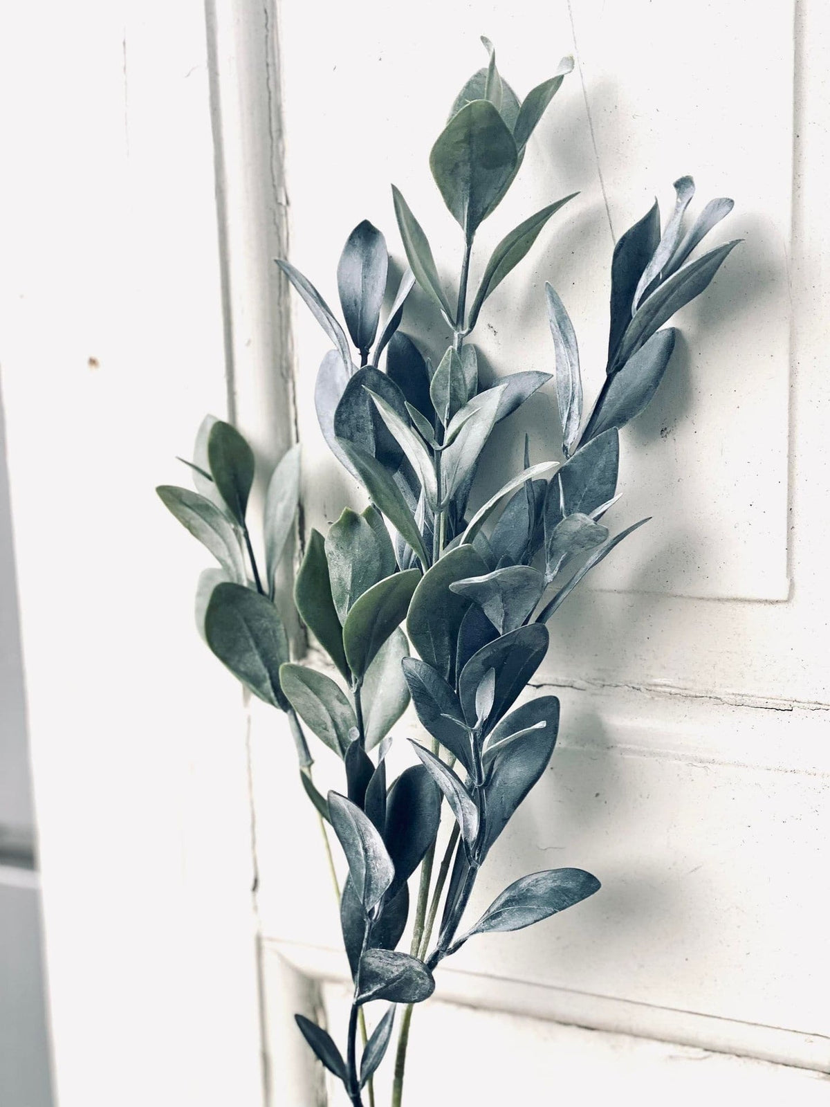 Eukalyptus stilk - 58 cm - VIAMAJA.DK