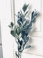 Eukalyptus stilk - 58 cm - VIAMAJA.DK
