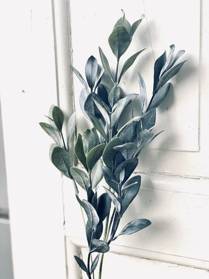 Eukalyptus stilk - 58 cm - VIAMAJA.DK