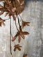 Evighedsblomst – Stilk 60cm Brun - VIAMAJA.DK