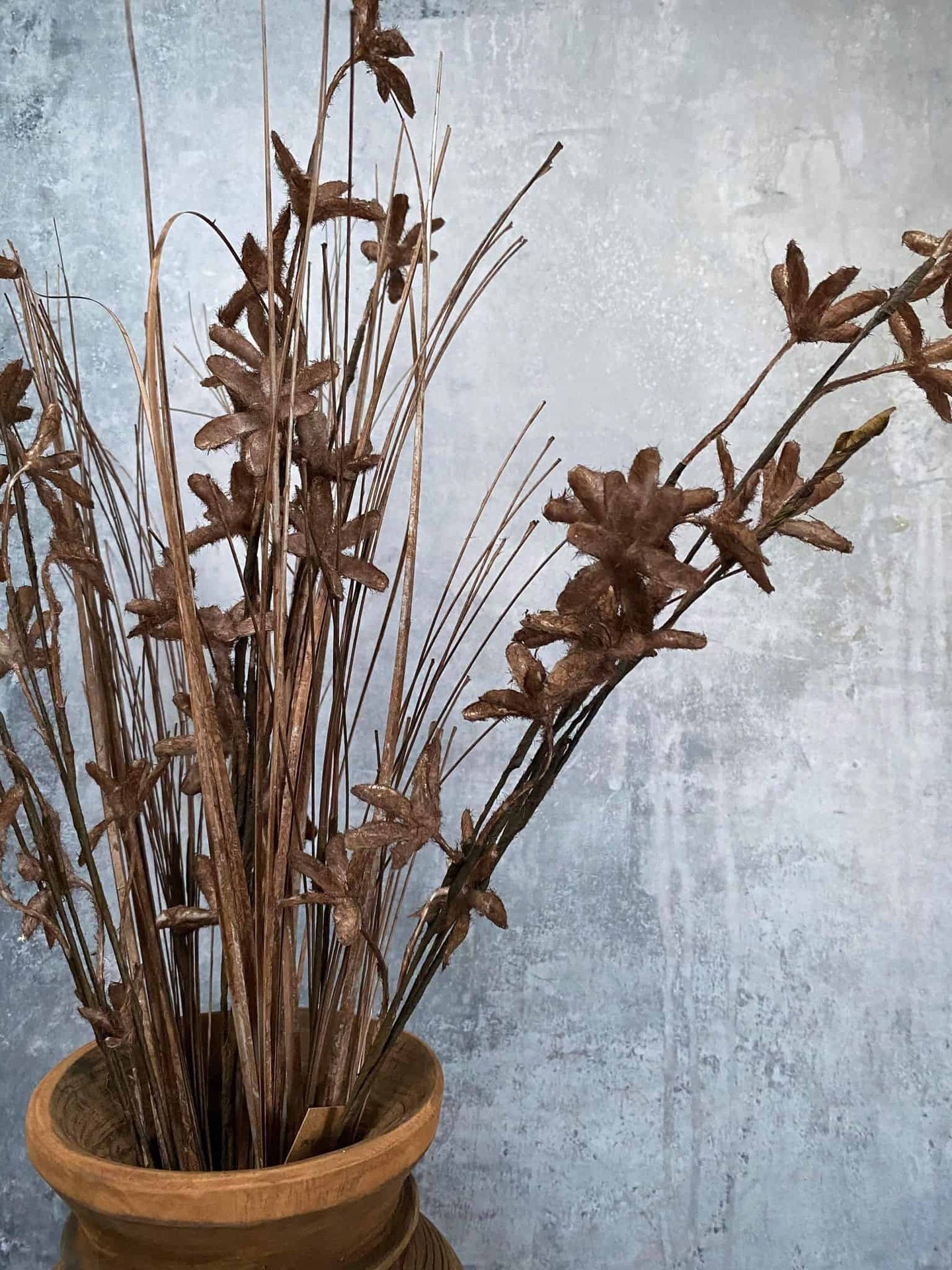 Evighedsblomst – Stilk 60cm Brun - VIAMAJA.DK
