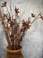 Evighedsblomst – Stilk 60cm Brun - VIAMAJA.DK