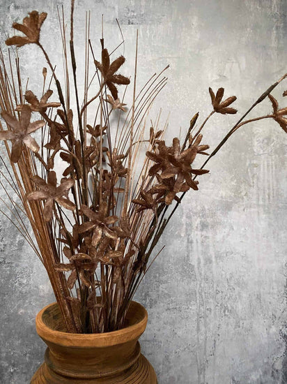 Evighedsblomst – Stilk 60cm Brun - VIAMAJA.DK