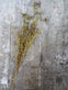 Evighedsblomst – Stilk 60cm Lilla - VIAMAJA.DK