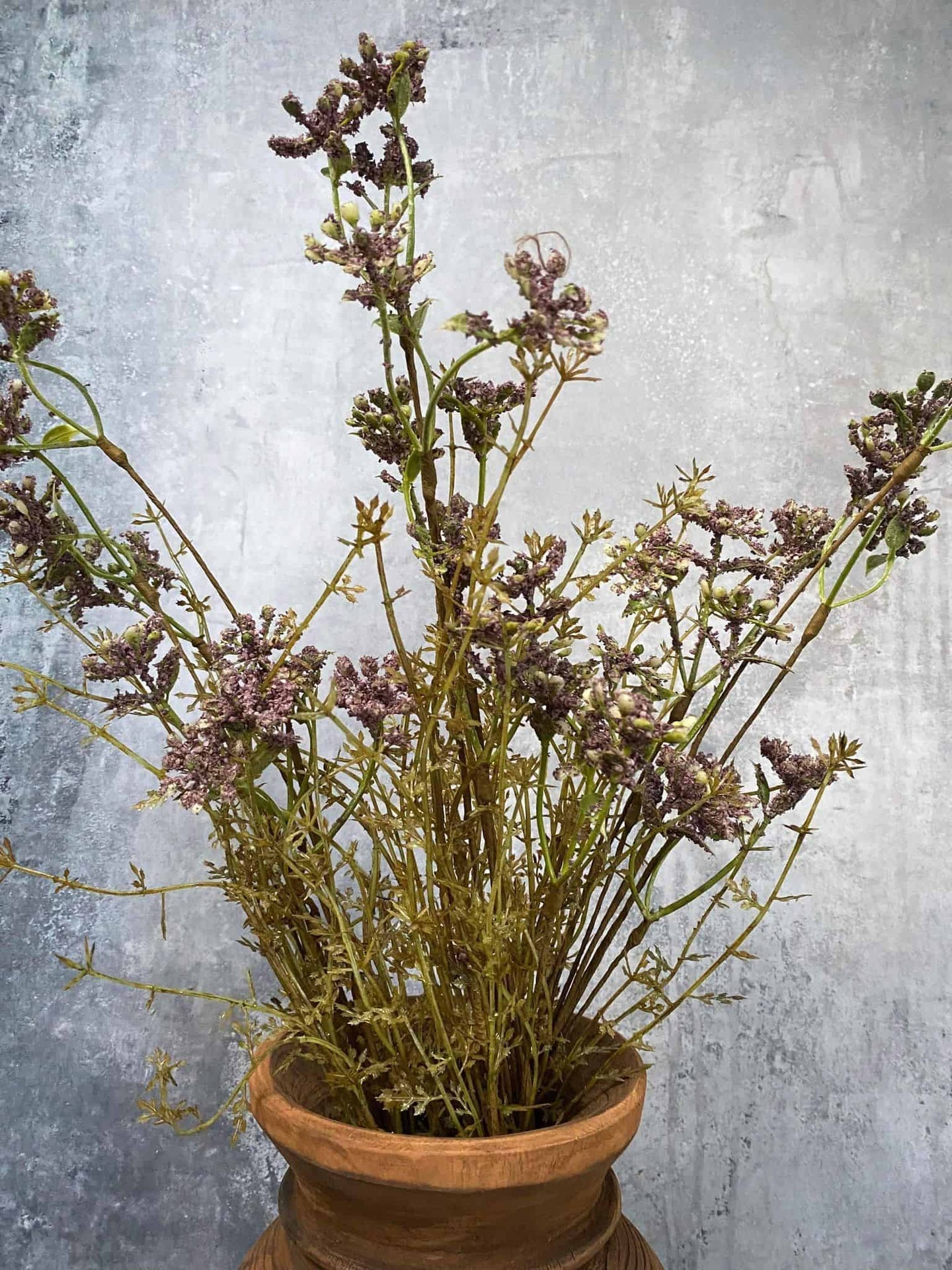 Evighedsblomst – Stilk 60cm Lilla - VIAMAJA.DK