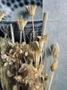 Evighetsbukett - Sanna nature