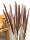 Evighedsbuket - Silver grass Plume natural - VIAMAJA.DK