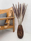 Evighedsbuket - Silver grass Plume natural - VIAMAJA.DK