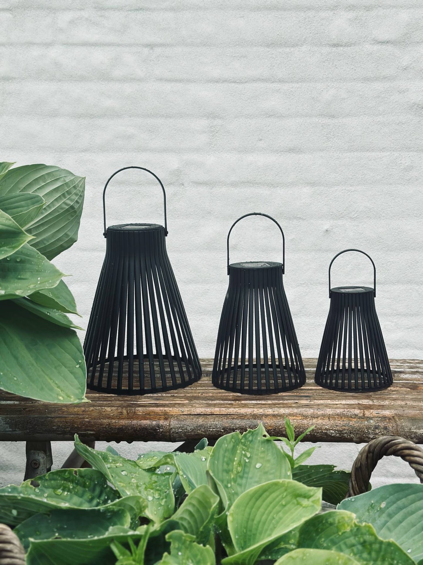 Lykt med solceller - GARDEN BLACK 18cm