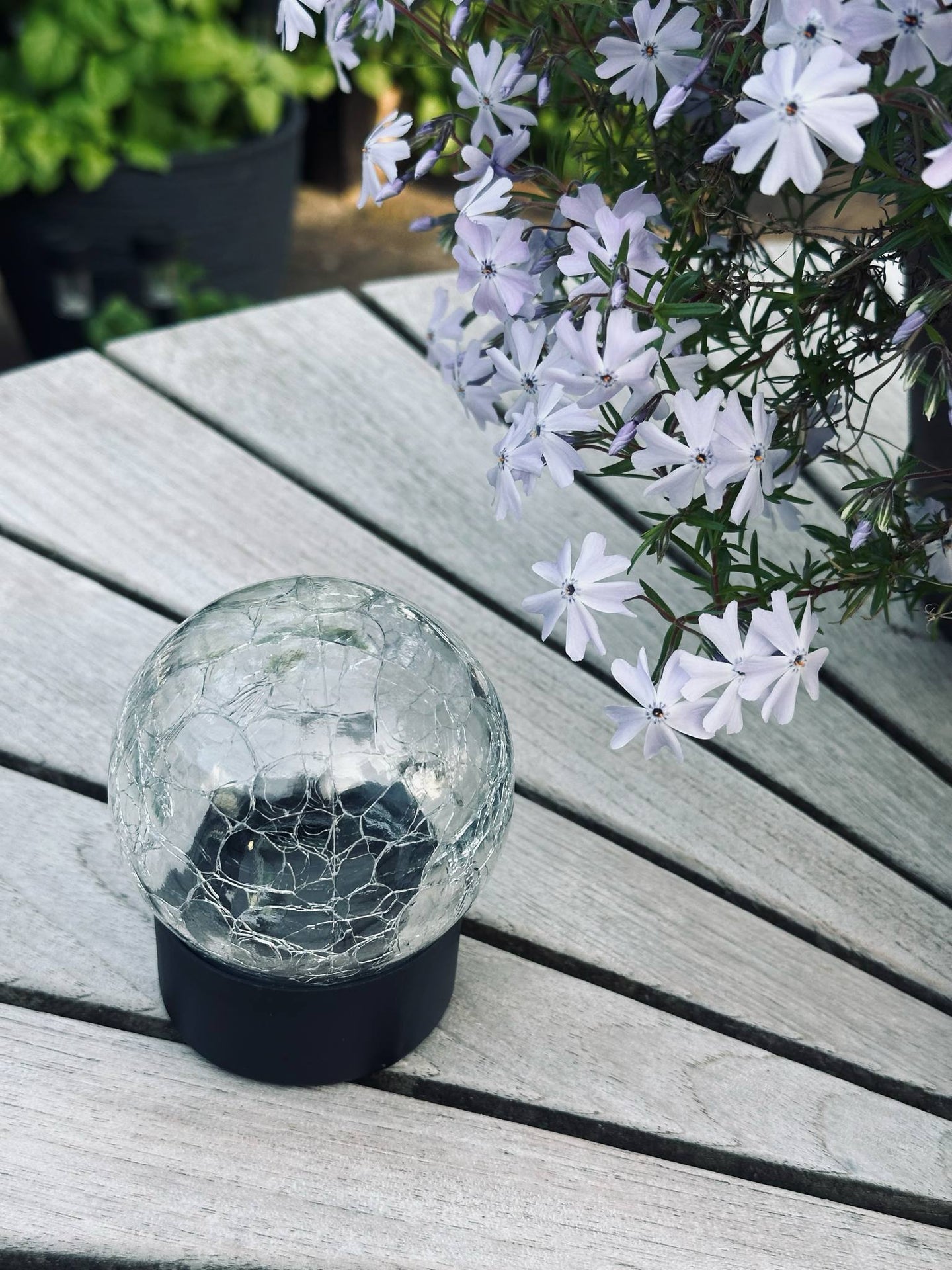 Solcelle glasskule - Svart fot