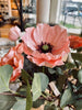 Folie-blomst med 2 hoder - Lys rosa
