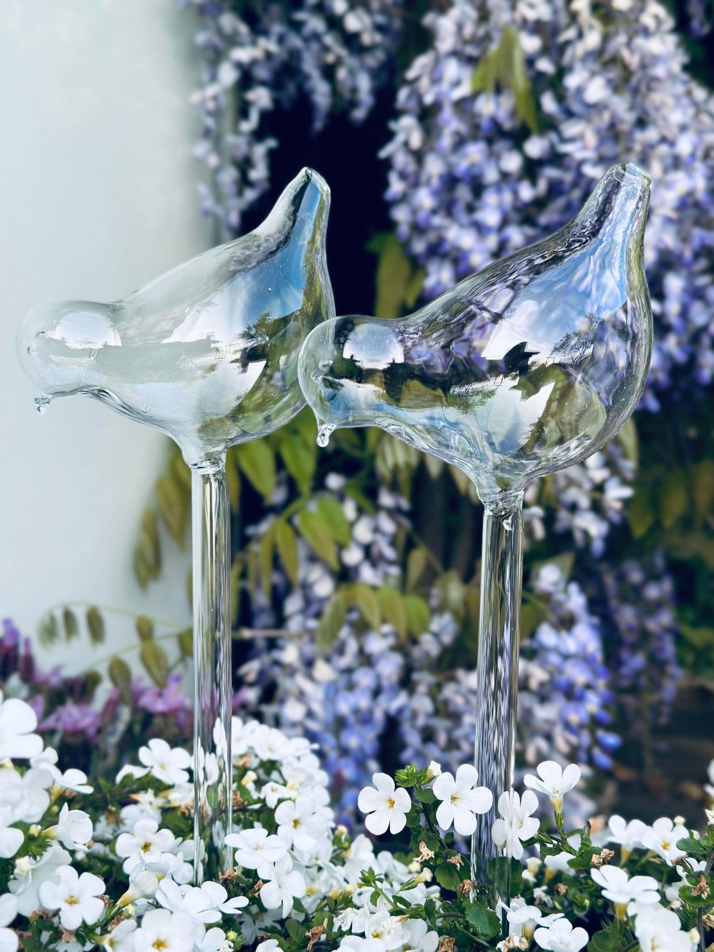 Fugle i glas - Sæt af 2 stk til vanding af blomster - VIAMAJA.DK