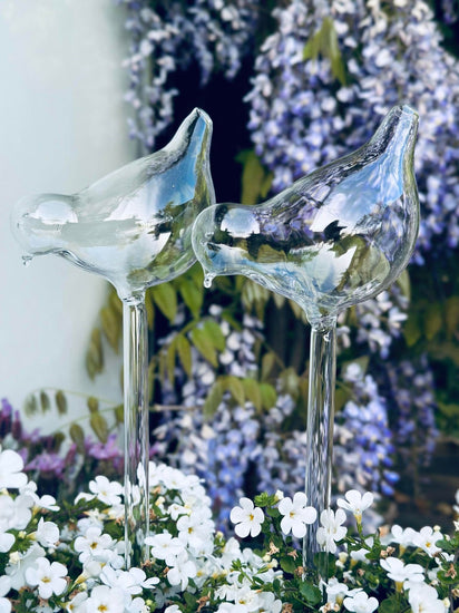 Fugle i glas - Sæt af 2 stk til vanding af blomster - VIAMAJA.DK