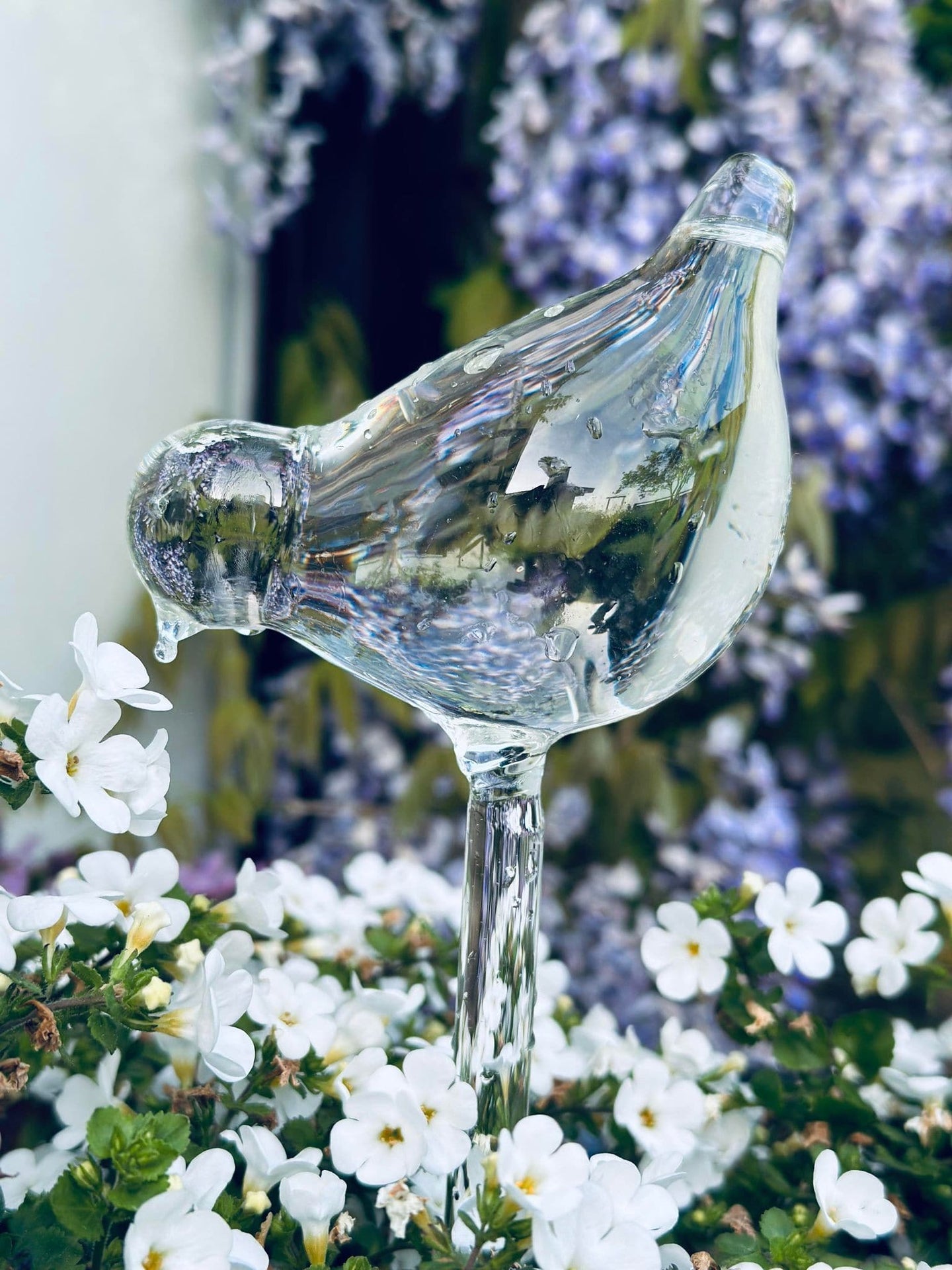 Fugle i glas - Sæt af 2 stk til vanding af blomster - VIAMAJA.DK