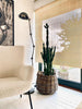 Gardin Natur