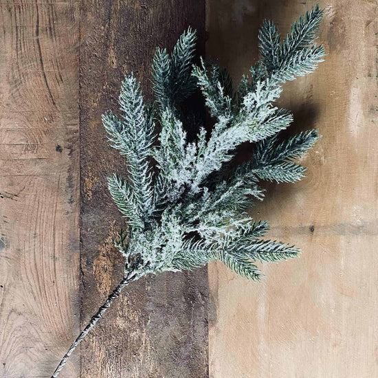 Gren med frost - VIAMAJA.DK