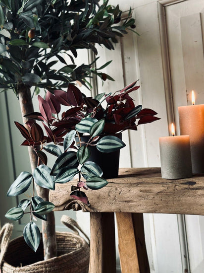 Hængeplante – Green No.3 - VIAMAJA.DK