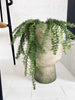 Hengende plante i potte