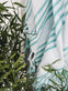 Hammam håndklæde - COTTON TURKIS Økotex - VIAMAJA.DK