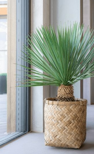 Havekrukke Deluxe i Natur og cement - H60cm - SKAL AFHENTES - VIAMAJA.DK