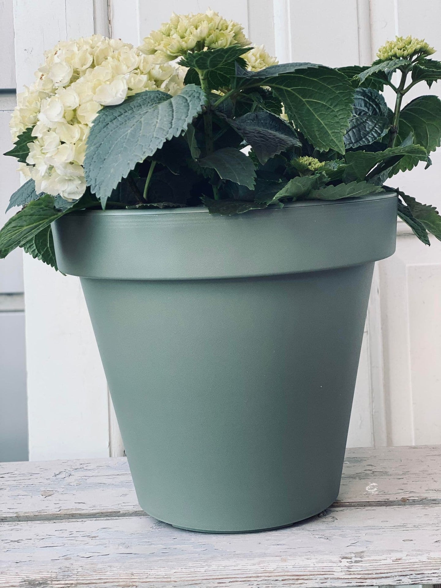 Havekrukke i recycling plast 35 cm - grøn - VIAMAJA.DK