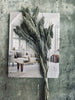 Hirse Grey
