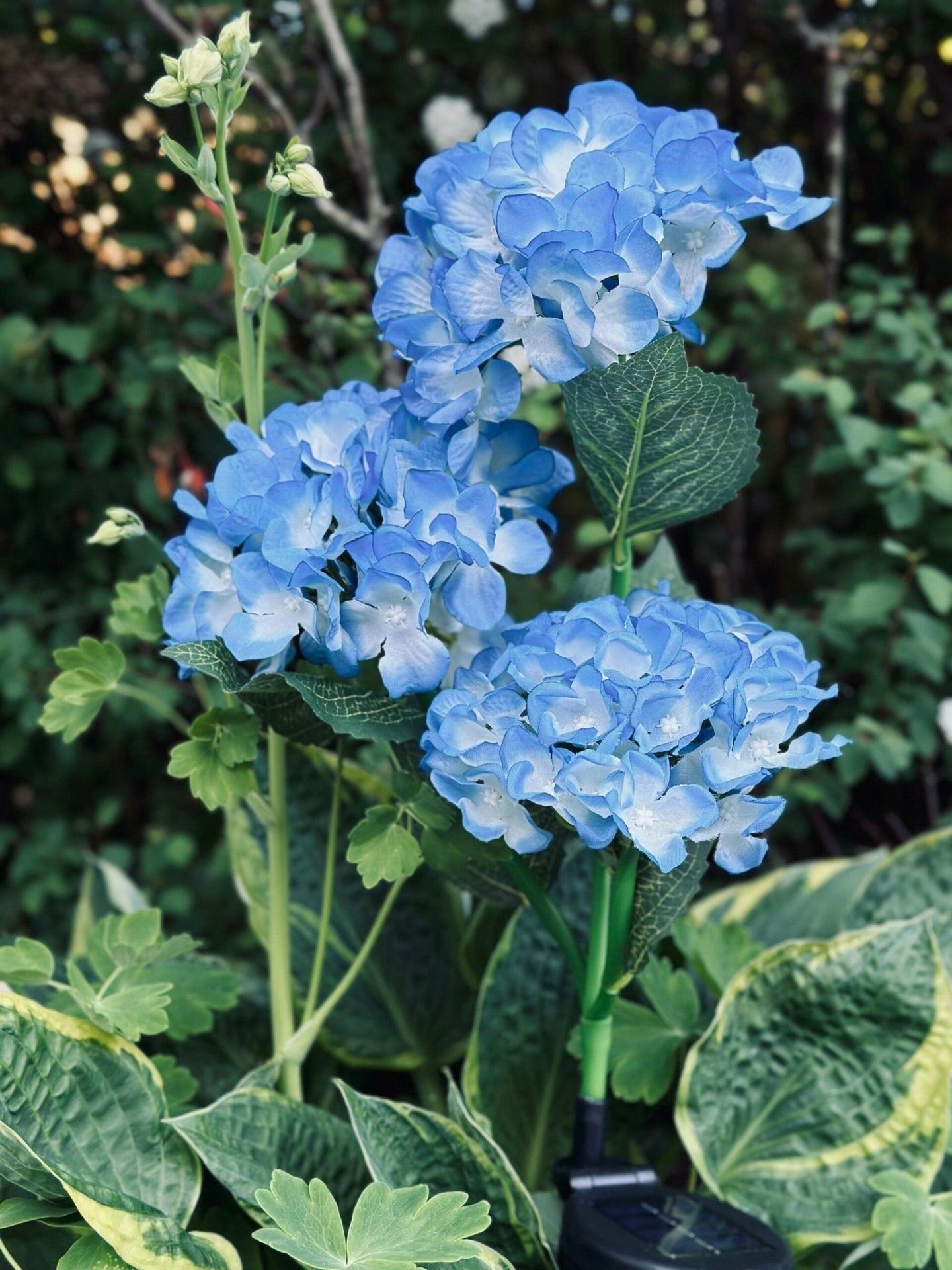 Hortensia med solceller – Blå - VIAMAJA.DK
