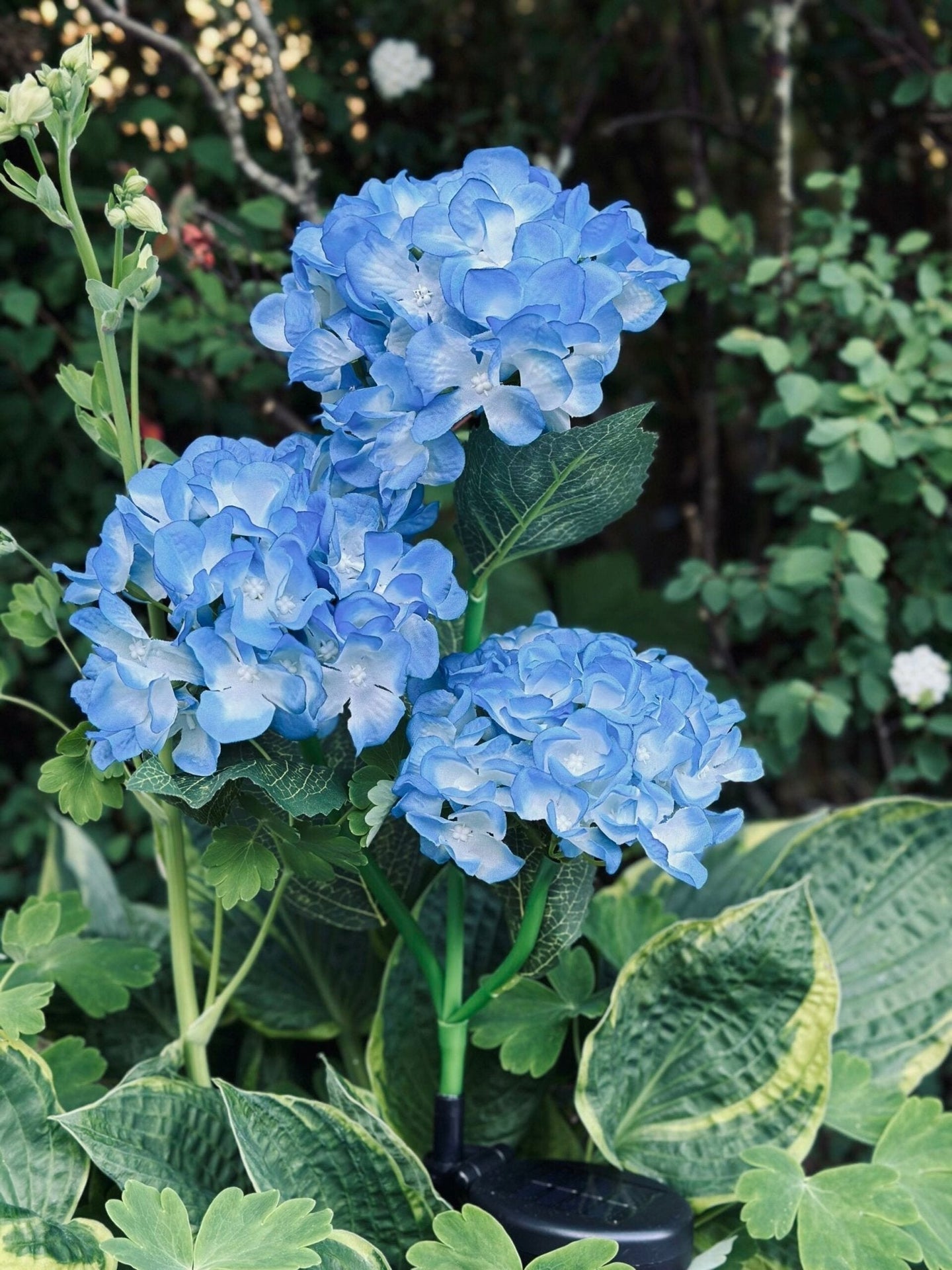 Hortensia med solceller – Blå - VIAMAJA.DK