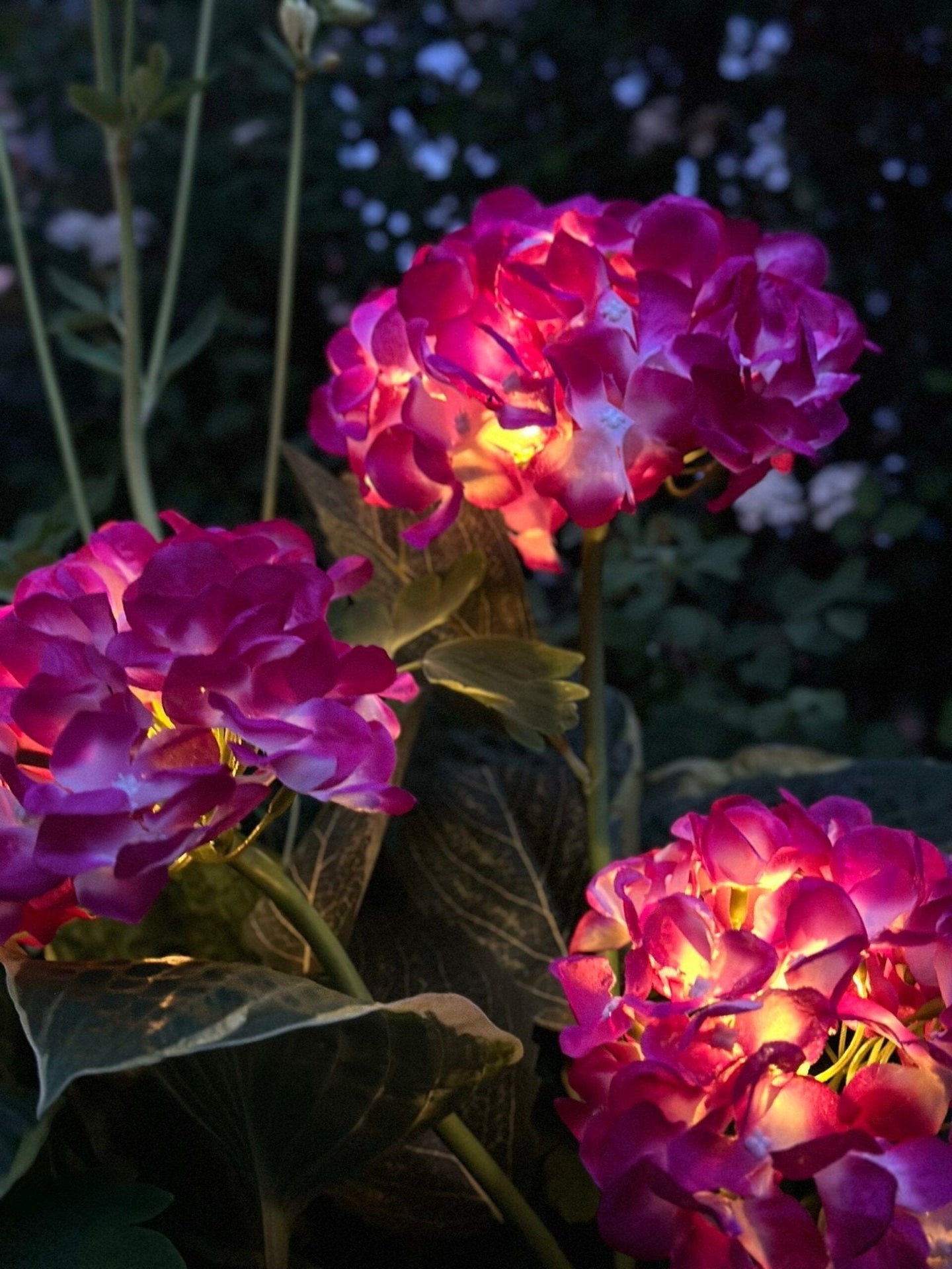 Hortensia med solceller – Pink - VIAMAJA.DK