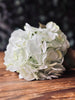 Hortensia Lime/hvit