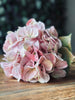 Hortensia Rosa