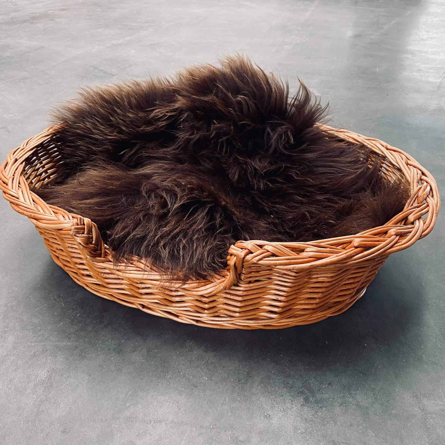 Hundekurv i kraftig rattan – Lille - VIAMAJA.DK