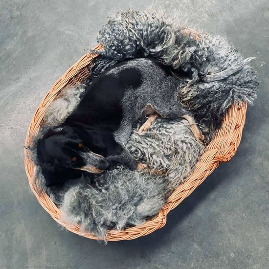 Hundekurv i kraftig rattan - Stor - VIAMAJA.DK