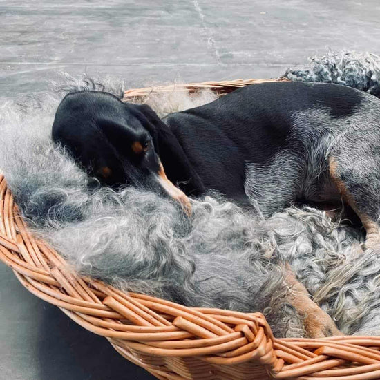 Hundekurv i kraftig rattan - Stor - VIAMAJA.DK