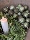 Julekugler 35 stk - 6cm Grøn - VIAMAJA.DK