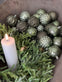 Julekugler 35 stk - 6cm Grøn - VIAMAJA.DK