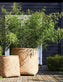 Kæmpe Havekrukke Natur / cement H80cm - VIAMAJA.DK