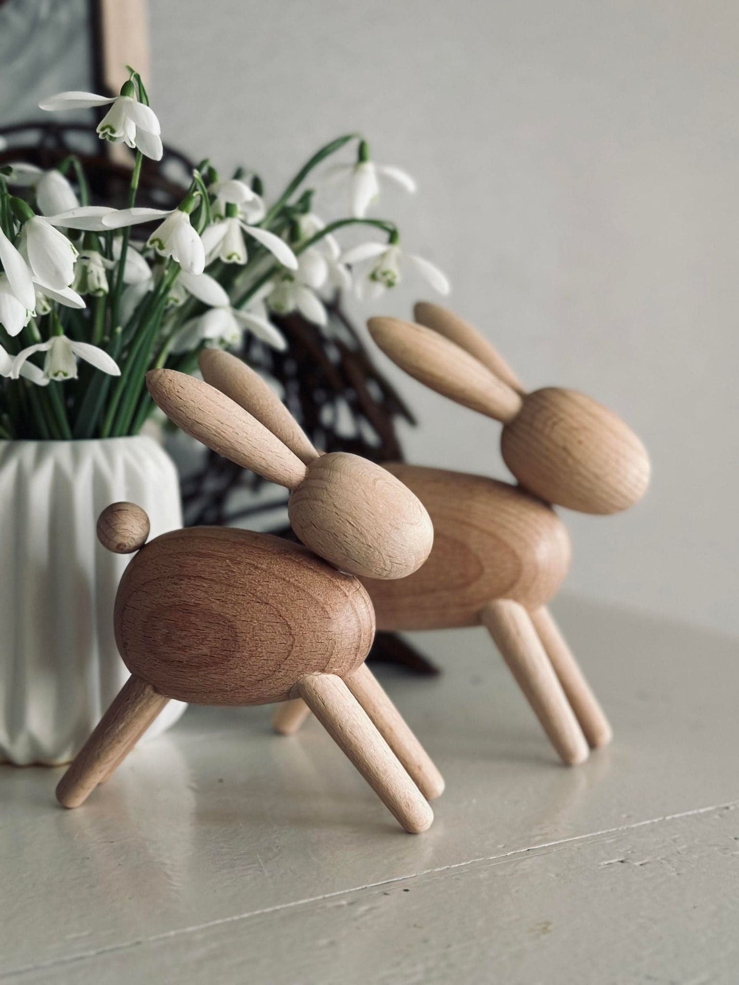 Kanin – Bøg lille - VIAMAJA.DK