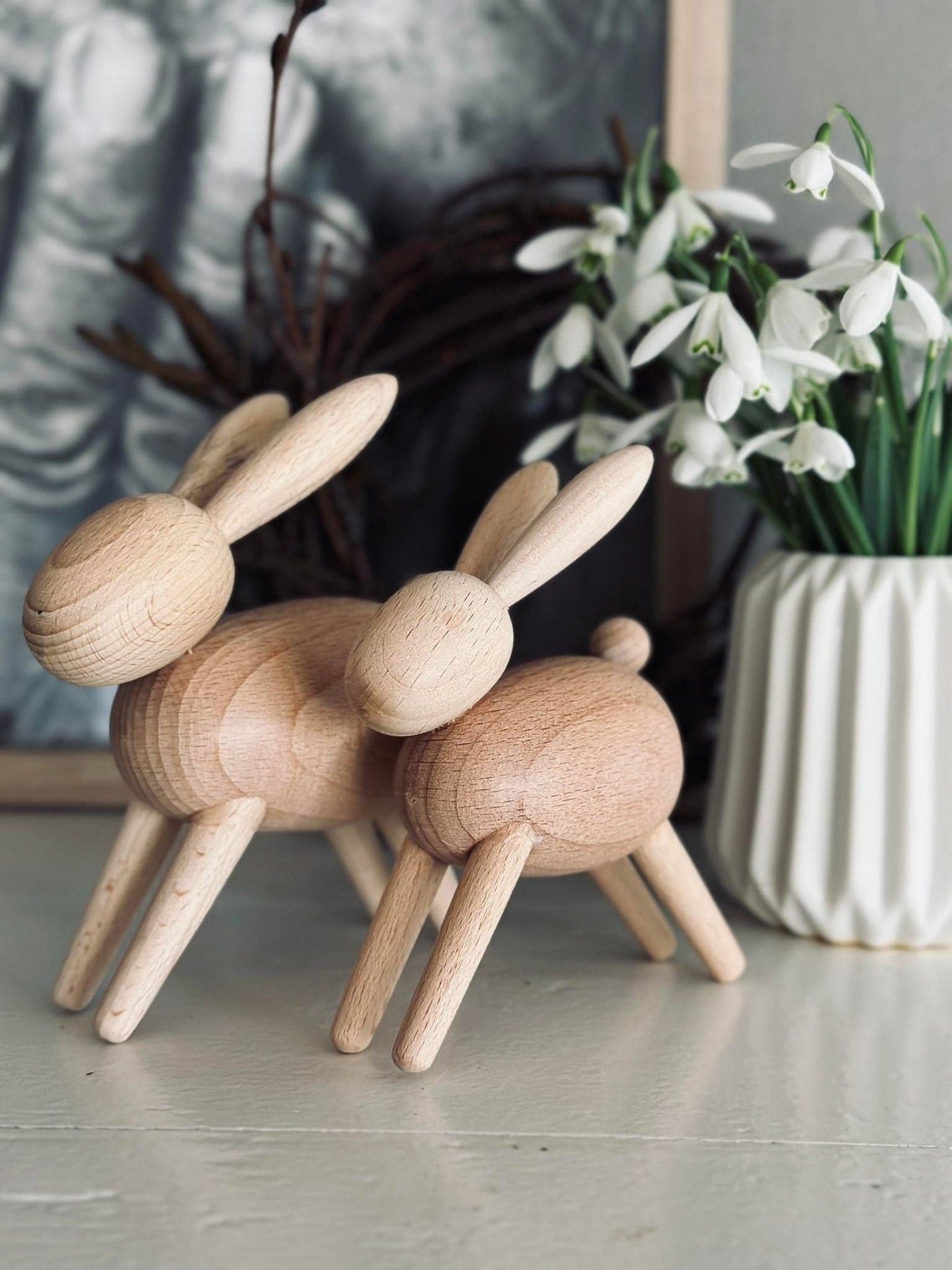 Kanin – Bøg lille - VIAMAJA.DK